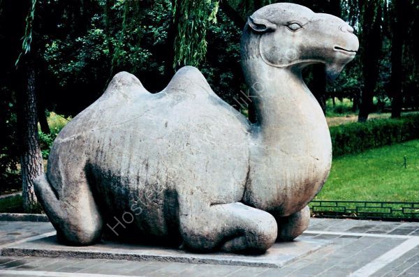 Stone Camel, Sacred Way, Ming Tombs, Beijing